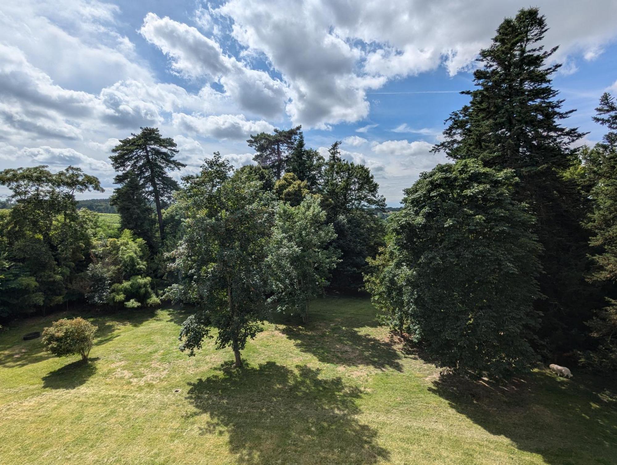 Domaine Du Faure Bed & Breakfast Chadurie Exterior photo